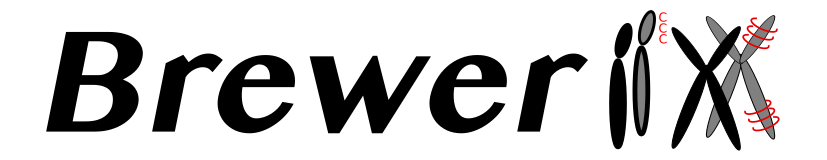 Brew-LOI-logo